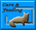 Cat care pages
