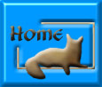 Sunfox Home