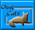See more of our cats