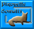 Pirouette Somalis