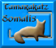 Tamarakatz Somalis
